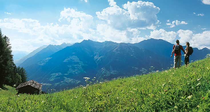 Passeggiate su prati verdi 